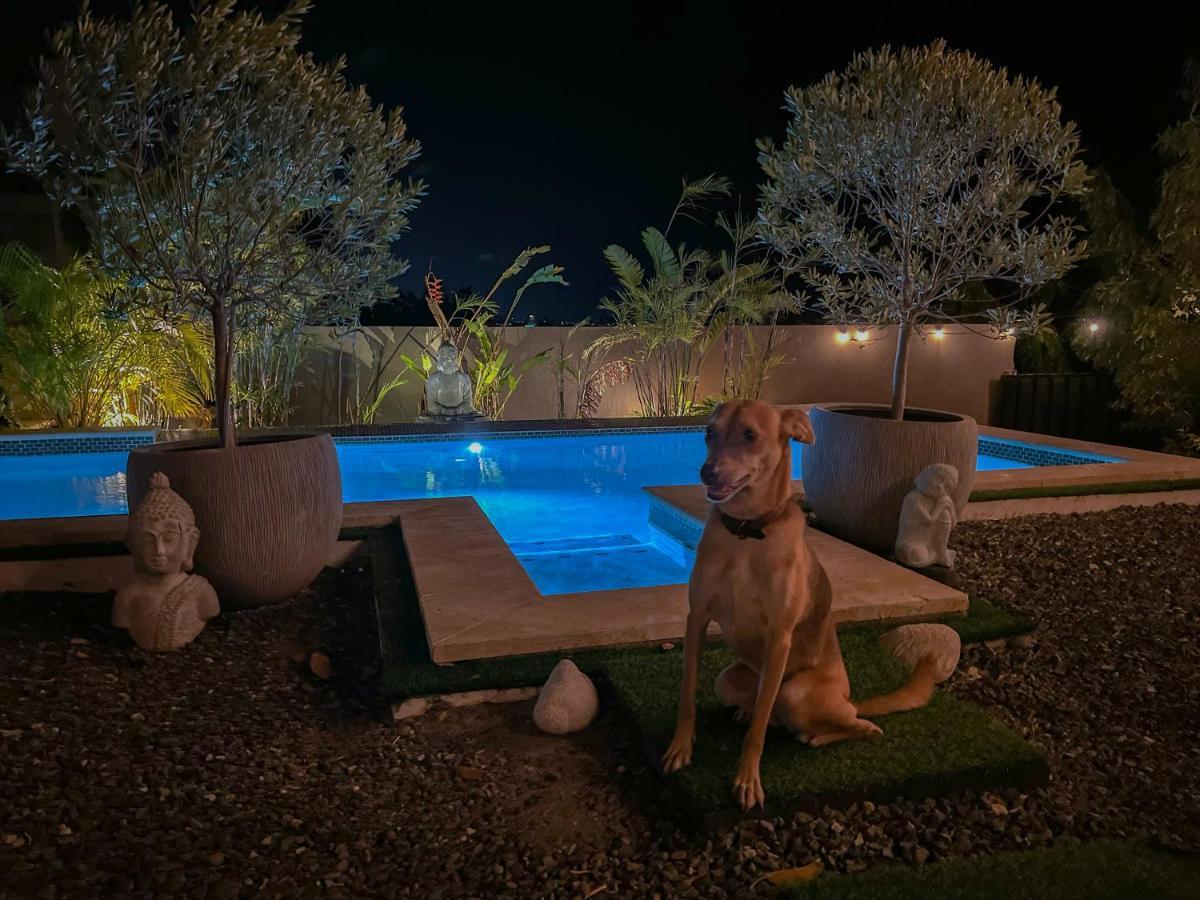Lama Y Solo Unique Private Room Walking Distance To The Beach パームビーチ エクステリア 写真