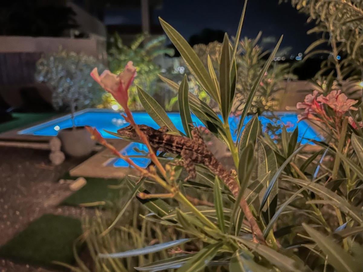 Lama Y Solo Unique Private Room Walking Distance To The Beach パームビーチ エクステリア 写真